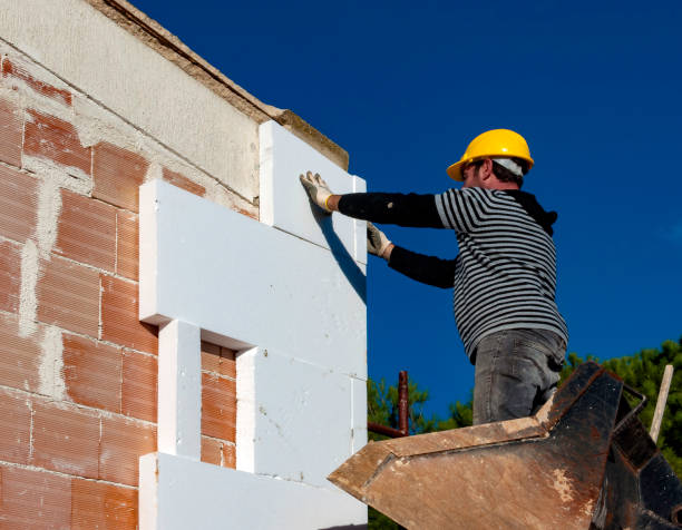 Best Types of Insulation in Mmaduke, AR
